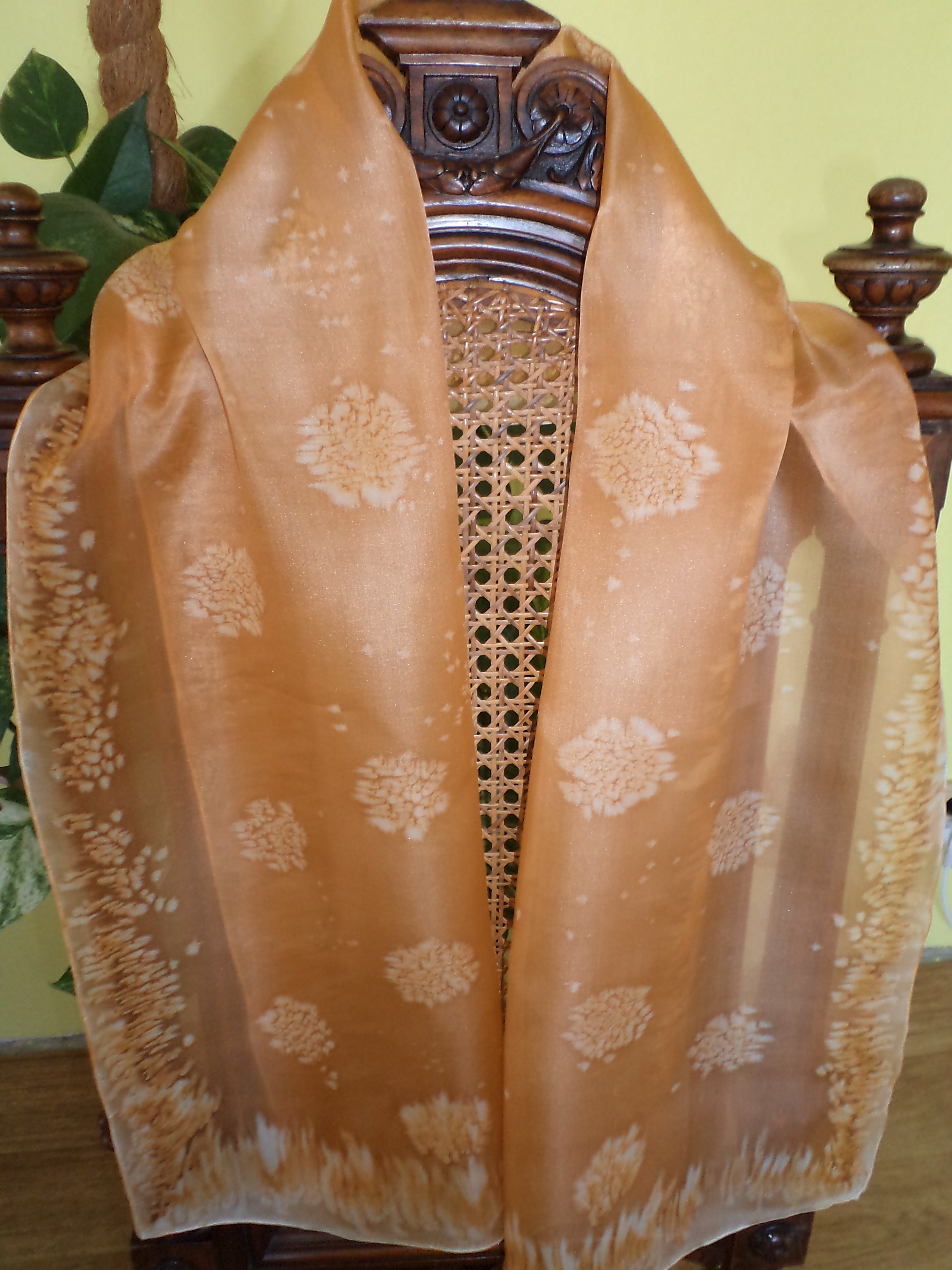 fotky 3099